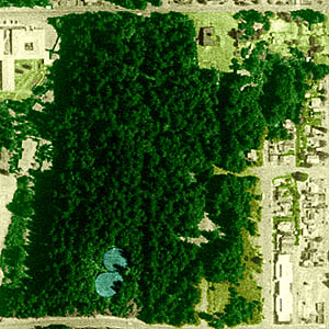 Forest Ridge Park, Bremerton, Washington, 1994 aerial photo