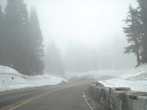mist and snow at Chinook Pass, WA on 3 July 2011