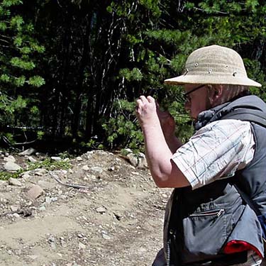 Rod Crawford examines spider at Deep Creek near Bumping Lake, Yakima County, Washington