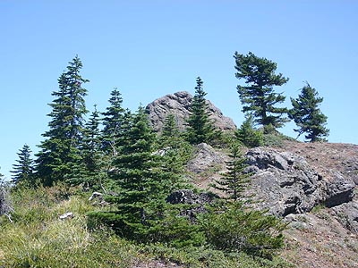 east peak of Cabin Mountain, Kittitas County, Washington