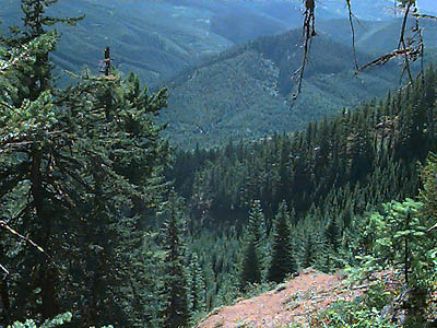 view from summit ridge of Cabin Mountain, Kittitas County, Washington