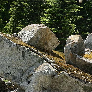 boulders in swale, east flank of Captain Point, NE King County, Washington