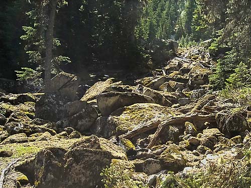 boulder-filled swale, east flank of Captain Point, NE King County, Washington