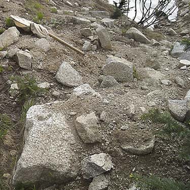 stones on soil near south summit of Captain Point, NE King County, Washington