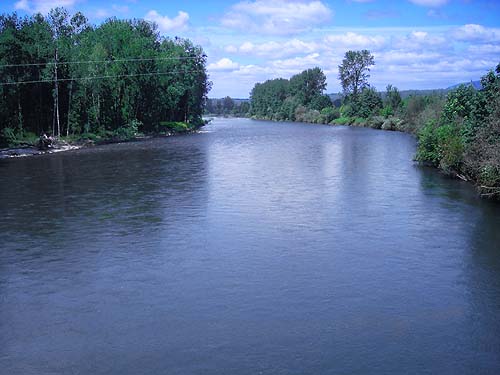 Snoqualmie River in June, Tolt River John MacDonald Park, Carnation, Washington