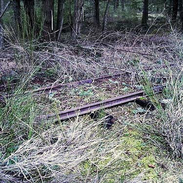 remnant of old private railroad track, Sequalitchew Creek trailhead, Dupont, Washington