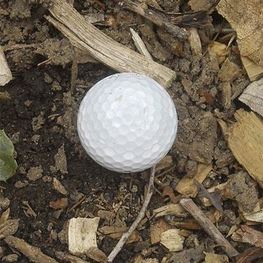golf ball souvenir from Boise Creek at King County Fairgrounds, Enumclaw, Washington