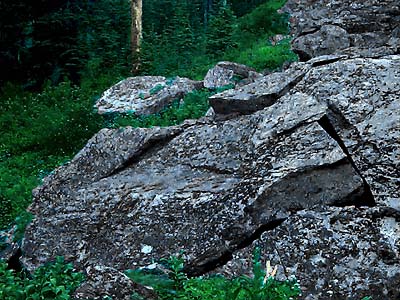 phyllite boulders at foot of talus, Coal Mountain, Skagit County, Washington