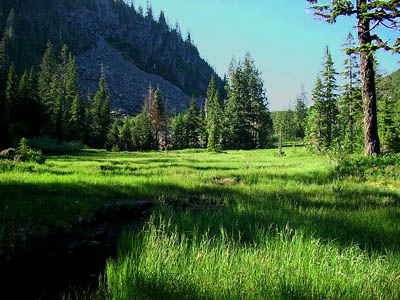 meadow north of inselberg, Coal Mountain, Skagit County, Washington