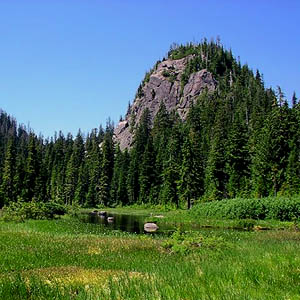 phyllite inselberg behind Sphagnum bog on Coal Mountain, Skagit County, Washington