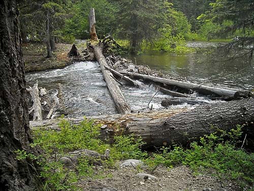 beaver dam on Bumping River, Cougar Flat Campground, Yakima County, Washington