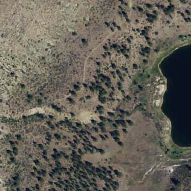 aerial photo of Crumbacker Lake spider collecting site, Okanogan County, Washington