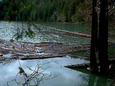 Lake Aldwell near Lower Elwha Dam, Clallam County, Washington