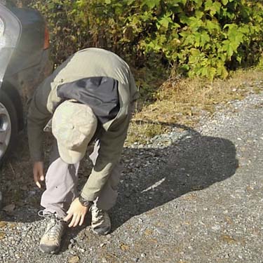 Joy Liu prepares to collect spiders at Deer Creek Road near Silverton, Snohomish County, Washington