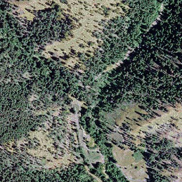 2006 aerial view of spider collecting site in Derby Canyon, Chelan County, Washington