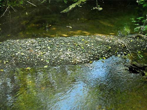 Dogfish Creek at Little Valley Road near Poulsbo, Kitsap County, Washington