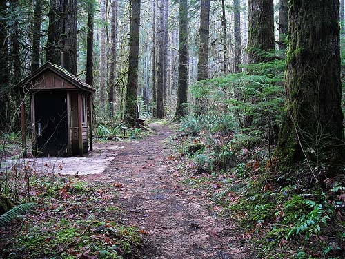 Forest trail at Interrorem Guard Station, Jefferson County, Washington