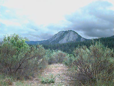 Peoh Point from John Wayne Trail west of South Cle Elum, Kittitas County, Washington; Purshia tridentata in foreground