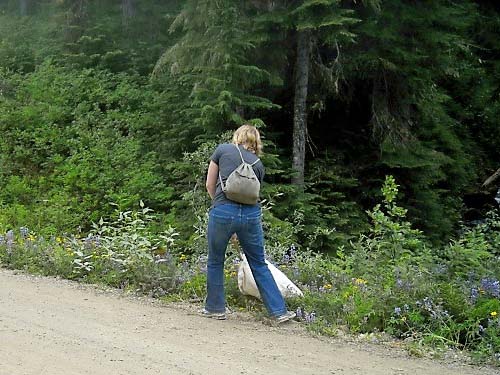 Matisse Lorance sweeping herbs, Eleanor Creek Trailhead, Pierce County, Washington