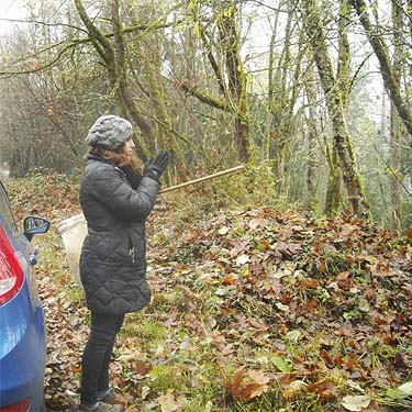 Lauren Taylor at spider field site, Electron Road, Electron, Pierce County, Washington