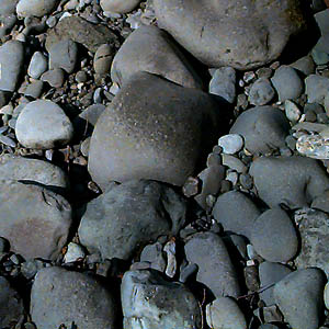 gravel bar surface, Elwha River just outside Olympic National Park, Washington
