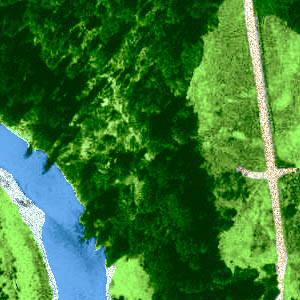 1990 aerial photo of collecting site on Lower Elwha levee road, Clallam County, Washington