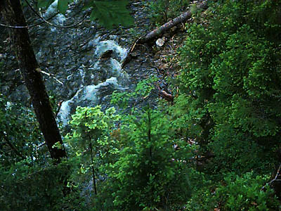 canyon just above mouth of Boulder Creek, Lake Mills, Clallam County, Washington
