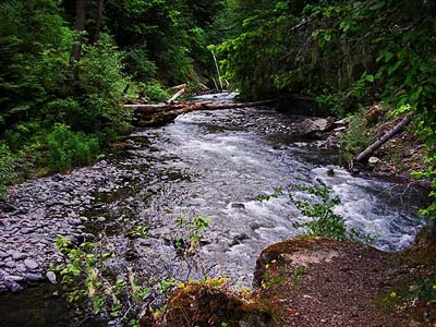 Boulder Creek near mouth at Lake Mills, Clallam County, Washington
