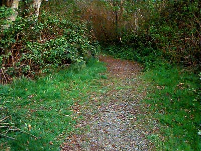 Warrior Trail, Lower Elwha estuary, Clallam County, Washington