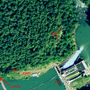 aerial photo of Lower Elwha Dam (2005) showing cliffs, grass, salal