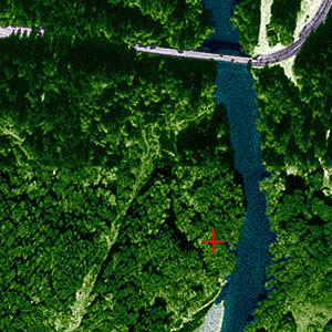 Elwha River west bank powerline pitfall site on 1994 aerial photo