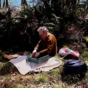 Rod Crawford sifting moss, NW corner of Lake Mills, Clallam County, Washington