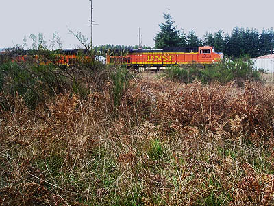 remnant grassland and passing train, Evaline, Lewis County, Washington