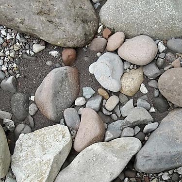 cobbles & sand along Carbon River, Fairfax town site, Pierce County, Washington