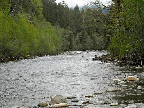 Carbon River, Fairfax town site, Pierce County, Washington