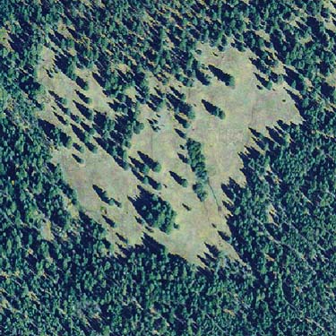 2005 aerial photo of Fish Flats, Yakima County, Washington