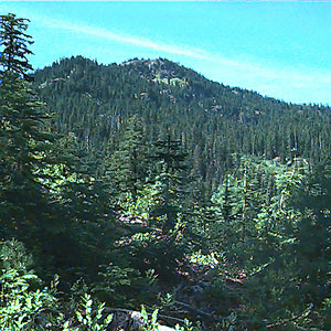 Kachess Ridge from West Fork of French Cabin Creek, Kittitas County, Washington