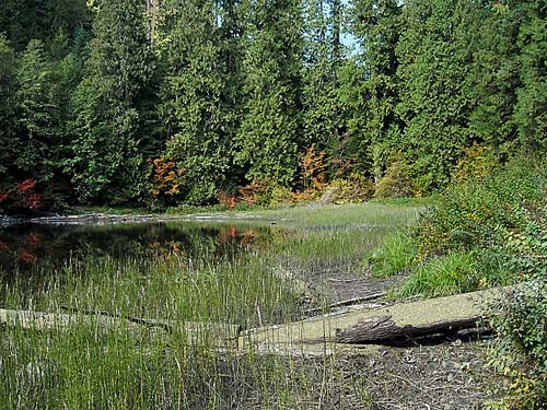 North end of Frog Lake, Snohomish County, Washington