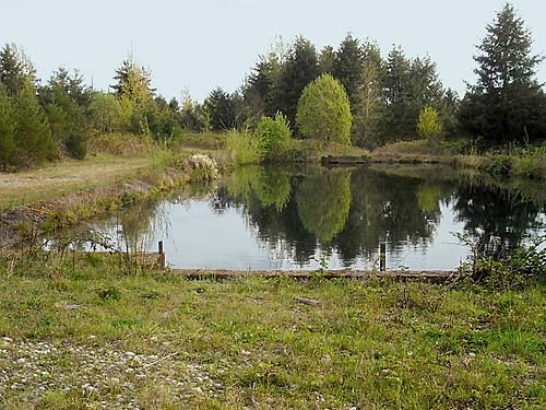 settling pond near hatchery, prairie remnant sites near Gate, Thurston County, Washington