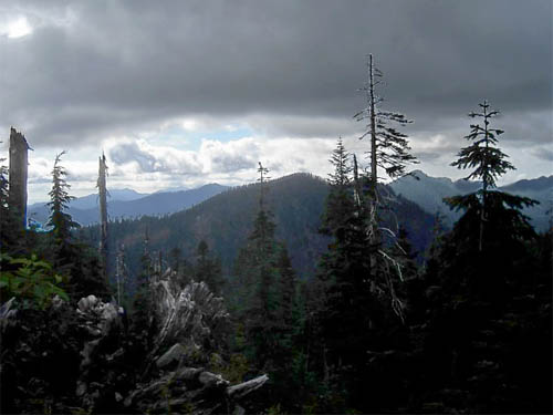 gloomy clouds along trail to Gee Point, Skagit County, Washington