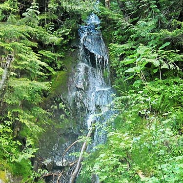 roadside cascade, ridge west of Grade Creek, S-central Skagit County, Washington