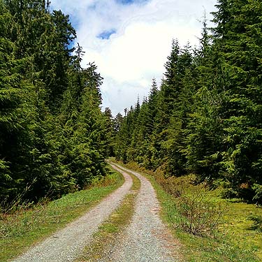 road on ridge west of Grade Creek, S-central Skagit County, Washington