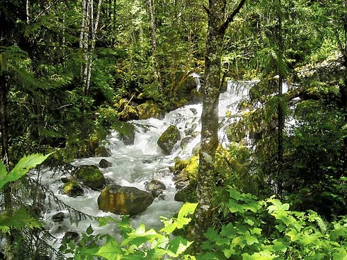 waterfall on Grade Creek, S-central Skagit County, Washington