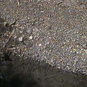 gravel bar, tributary of Middle Fork Snoqualmie River, Washington
