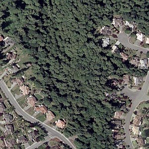 aerial photo (2002) of a side ravine of Big Gulch, Mukilteo, Washington