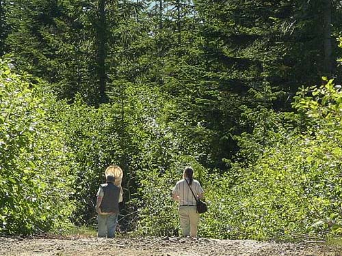 Rod Crawford and Markku Savela, ridge above Hansen Creek, east King County, Washington