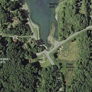 2002 aerial photo of Harper County Park, Kitsap County, Washington