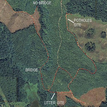 annotated 2010 aerial photo, part of Pilchick Tree Farm, Snohomish County, Washington