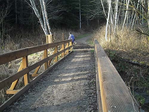 lower footbridge on Harvey Creek, Pilchuck Tree Farm, Snohomish County, Washington
