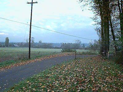 Levee, Boe Road, and farmland near Hatt Slough, Snohomish County, Washington